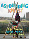 Astounding Knits! (eBook): 101 Spectacular Knitted Creations and Daring Feats
